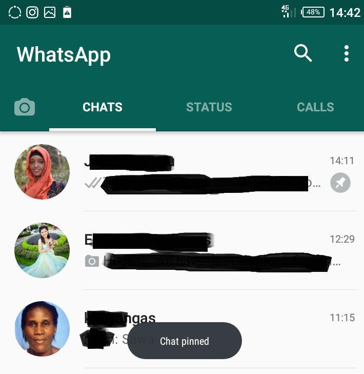 Pinned chats whatsapp