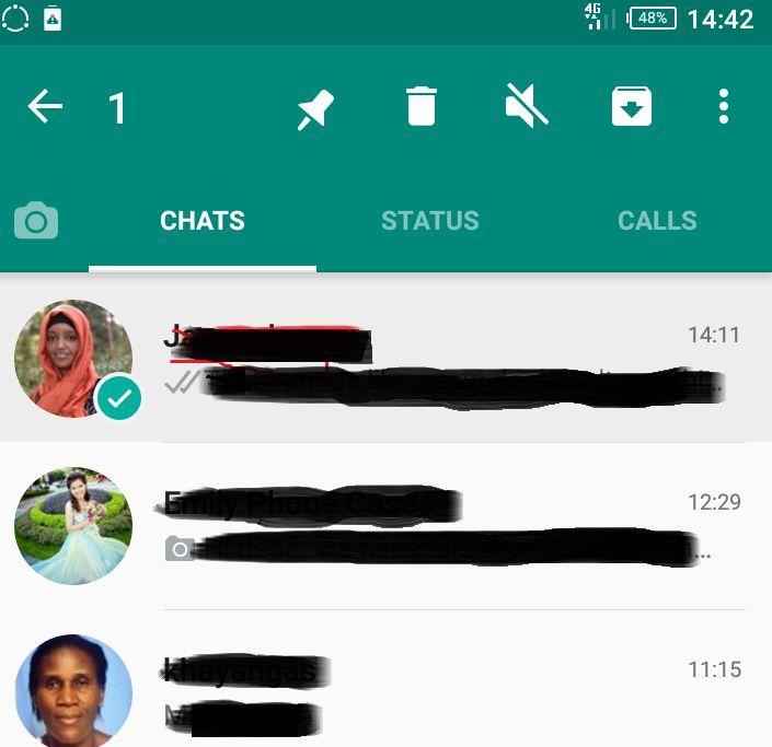 Whatsapp pinned chats