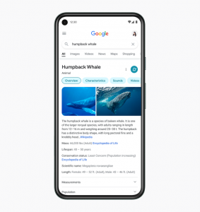 Google search on mobile