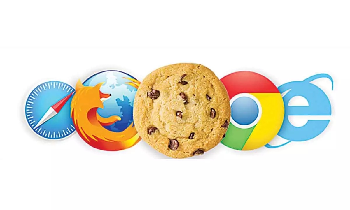 Website cookies