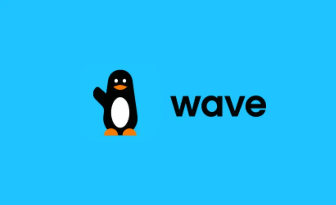 Wave Mobile Money