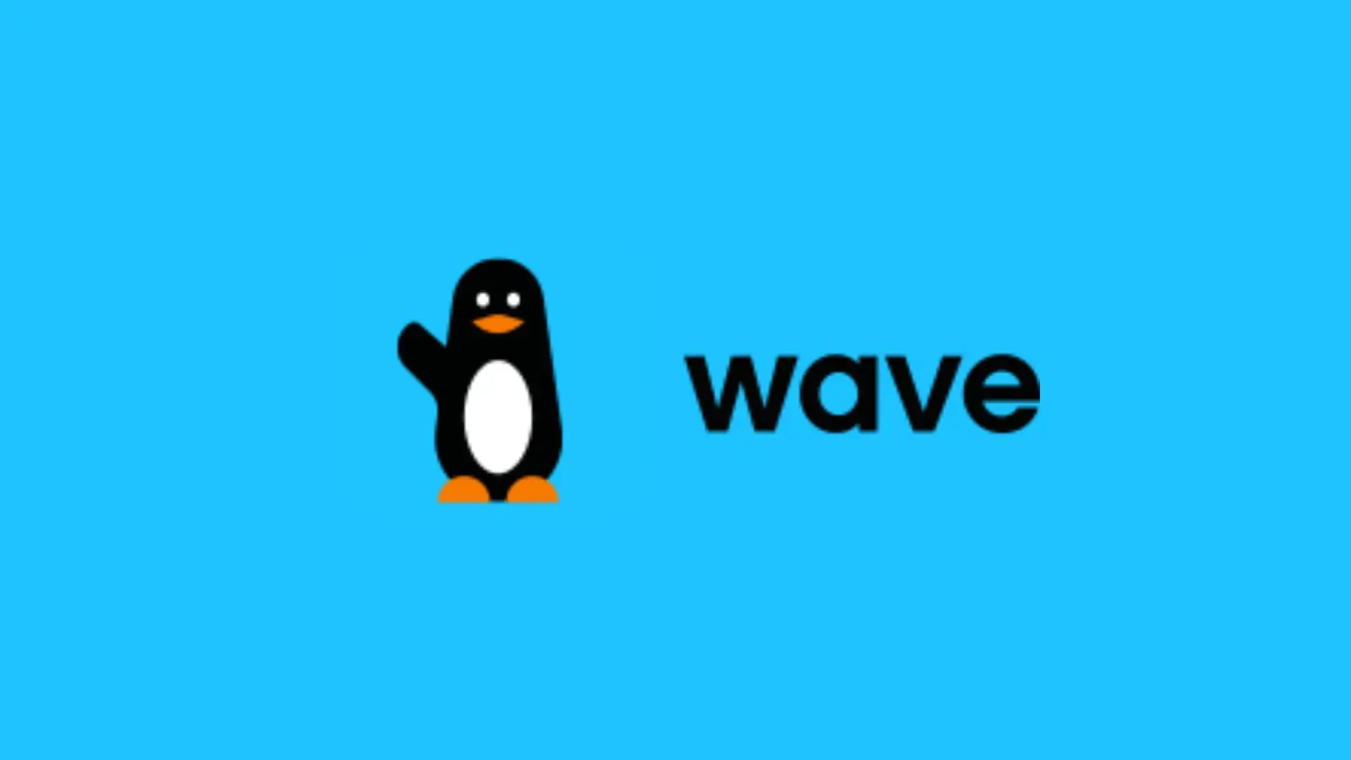 Wave Mobile Money